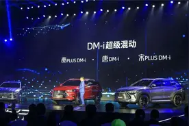 免费两年，首批比亚迪dmi车主流量到期，流量到期后该怎么办？图片