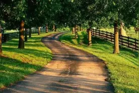 都是路，road,street,avenue怎么区分？图片