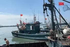 山东开海了，青岛烟台威海和日照，哪里的海鲜更好吃更实惠呢？图片