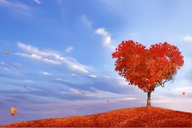 水滴筹记录查询怎么查？怎么查别人浏览记录？想知道就快看过来图片