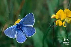懂得为自己撑伞，才能不被命运淋湿图片