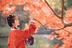 冷枫染红，霜叶流丹。不读这20首红叶诗词，辜负秋光烂漫图片