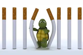 Cici育儿日记- 如何养宠物 之 经常“逃跑”的小乌龟图片