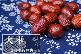 大枣（补气药）图片