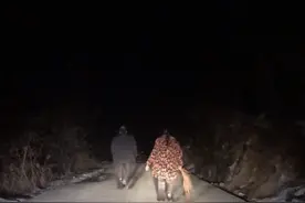 湖北一夫妻山路上故意挡路，车主无奈跟随两公里：跟了半小时图片