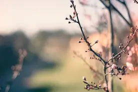 一个家庭衰败是有征兆的，经常出现这两件怪事，就要警惕了图片