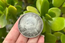 袁大头——最值钱的十个版本图片