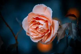 有一种爱，叫很想很想你图片