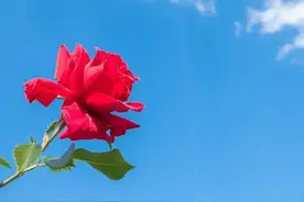 值得长期坚持的18个微习惯，心动也要行动。图片