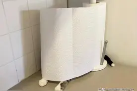 主人翻箱倒柜找猫，却看到餐巾纸长出了脚，网友爆笑：伪装大师‬图片