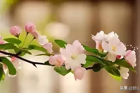 今生你所有的“遭遇”，无论好坏，都是上辈子欠下的因果图片