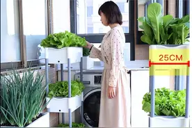 经历突发隔离后，我总结出了一份网购囤货指南图片