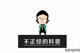 色情片，是怎样伤害你的大脑的？图片