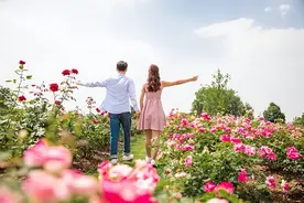 网络情人节520是什么意思 520送女朋友什么礼物比较好图片