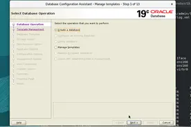 4、Oracle 数据库19C warehouse模板建库(emrep)图片
