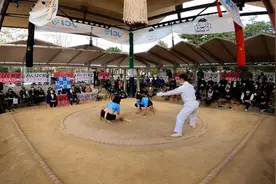 越来越多的日本女性参加相扑，女性相扑，是什么样子？（图）图片