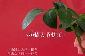 520情话最暖心短句图片