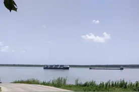 关于野生甲鱼几点常识（一）图片