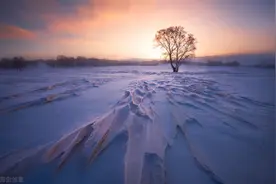 广西都安剿匪纪事图片