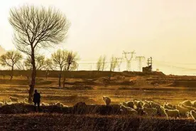 作家路遥先生的生命绝响，道出了平凡中的不平凡图片