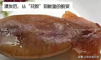 如何辨别鳕鱼胶的真假 2026年如何辨别鳕鱼胶的真假图片