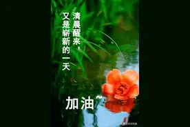 夏日最新早安图片甄选，连连的问候，浓浓的思念图片