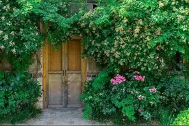 有一种爱，无论时间过了多久，还是会每天想你图片