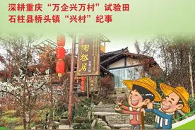 深耕重庆“万企兴万村”试验田 石柱县桥头镇“兴村”纪事图片