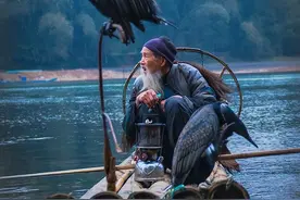 鸬鹚捕鱼效率很高，为什么我国会禁止使用？有什么危害？图片