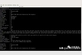 Linux 中 `/proc/cpuinfo`文件中最常见的标志图片