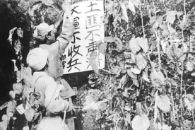 龙潭寺惨案！一名师级干部遇害，中央出动150万大军解决根源问题图片