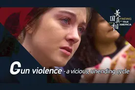 美国真相：枪支暴力——无解的恶性循环图片