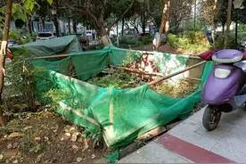 四川南充：阻挠施工，小区加装电梯发生纠纷！法院判了图片