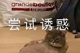 超甜蜜~适合向男朋友/老公撒娇的表情包！图片