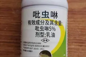 杀虫三剑客：吡虫啉、噻虫嗪、呋虫胺，系同源，三者区别一定要懂图片