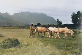 1930年的辽宁丹东，九连城山上日本碑和俄国坟，鸭绿江里放大木排图片