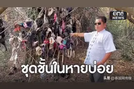 泰国某地村民内衣内裤时常丢失 竟被“变态”偷走挂满树枝图片