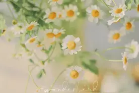 做人不能太实在，凡事要多长一个心眼图片