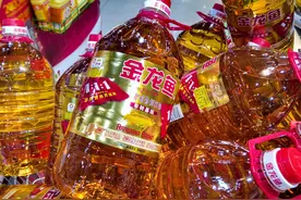 金龙鱼上市两年，从暴涨到大跌，何处是归处？跌出价值了吗？图片