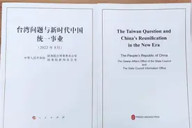 什么是白皮书？有别的颜色吗？这份白皮书有多妙？图片