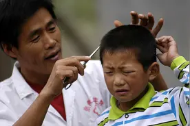 摘蜂巢的隐忧：马蜂窝变“金窝”，人蜂两败俱伤，代价有多大？图片