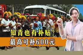 知青也有补贴？是真的，最高可补600元，看看你能领多少？图片