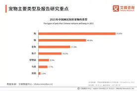 宠物去世了怎么办图片