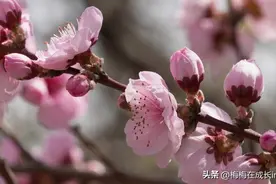 千万不要和消耗你的人在一起图片