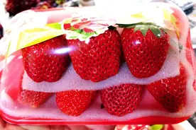 太原：冬草莓上市 卖相诱人价格“高冷”图片