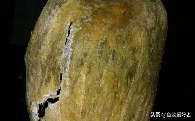 如何辨别鳕鱼胶的真假 2026年如何辨别鳕鱼胶的真假图片