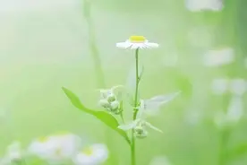 不管谁向你借钱，这么回答才是高情商，还不会得罪人图片