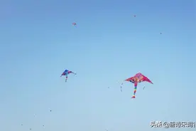 春天的儿童，要多快乐有多快乐图片