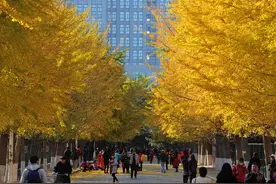 考研不歧视第一学历的5所高校，考研的学生注意了，保护第一志愿图片