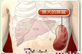 万病归于脾，归脾丸这样搭配，效果翻倍 阳虚 肾虚 失眠 痰湿都可以用图片
